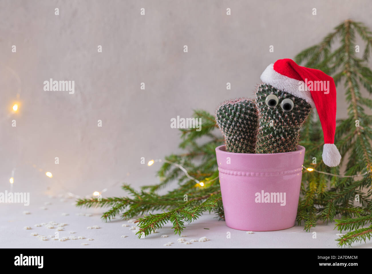 Stampowl S Studio Cacti Sliding Window Card