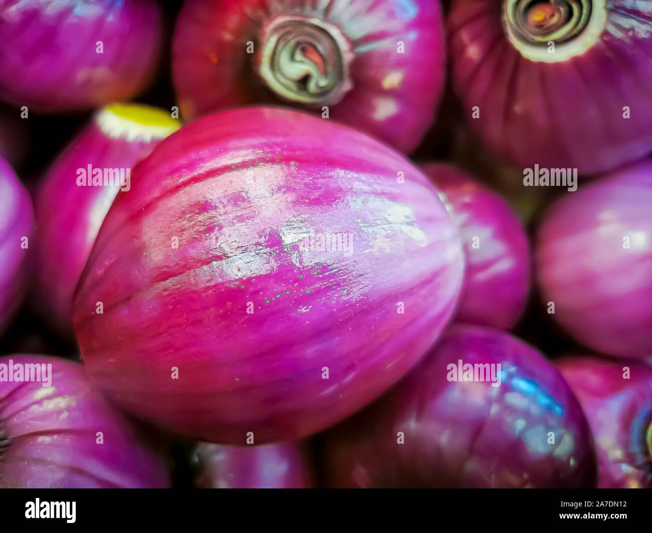 Purple onion display hi-res stock photography and images - Alamy
