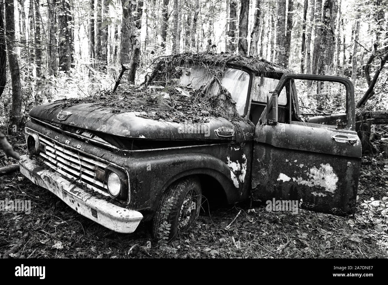 White, GA / USA - October27, 2018 - Old Scrap Ford Truck in the Woods at a Junk Yard. Stock Photo