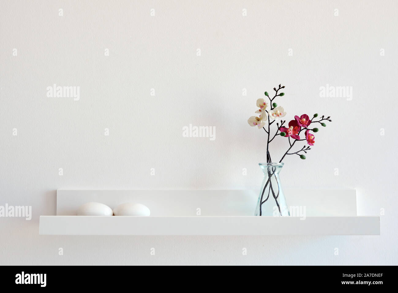 Composition of dried flowers on white wall background Stock Photo - Alamy