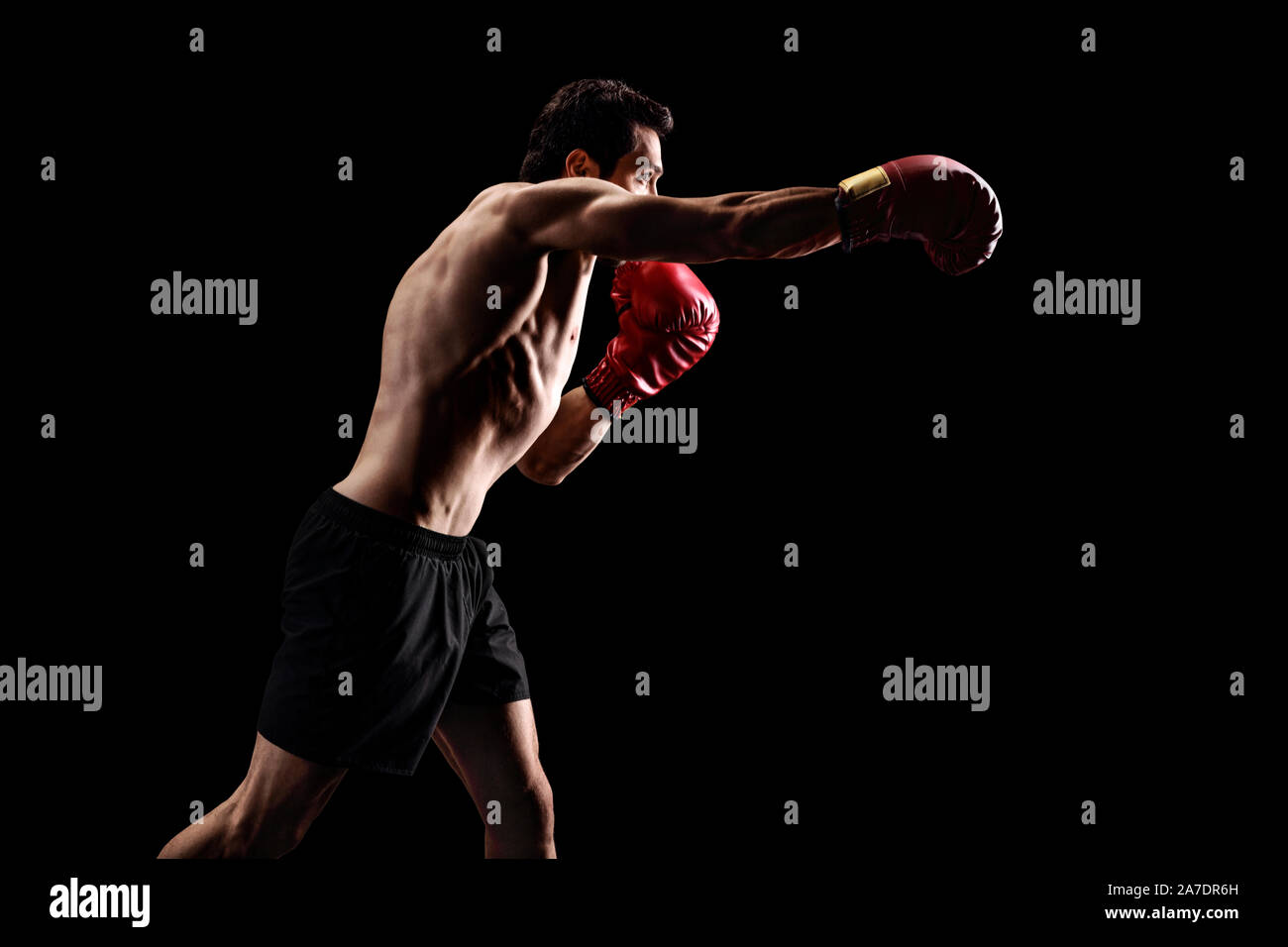 Muscular man punching with boxing gloves over a black background Stock