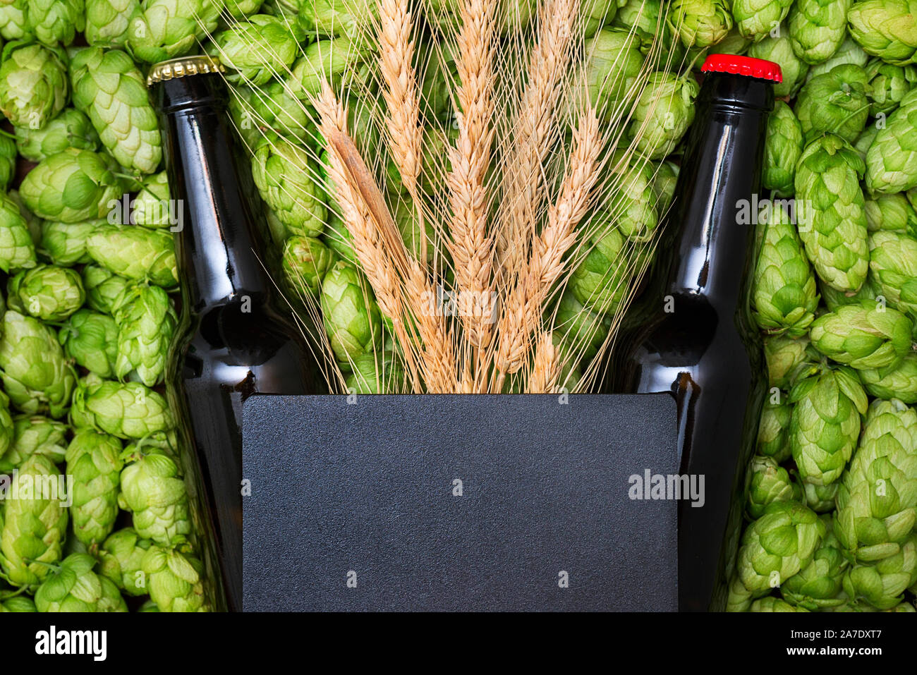 A glass bottles of beer, green cones of hops and wheat grain with copy space. Top view. Free space for text Stock Photo