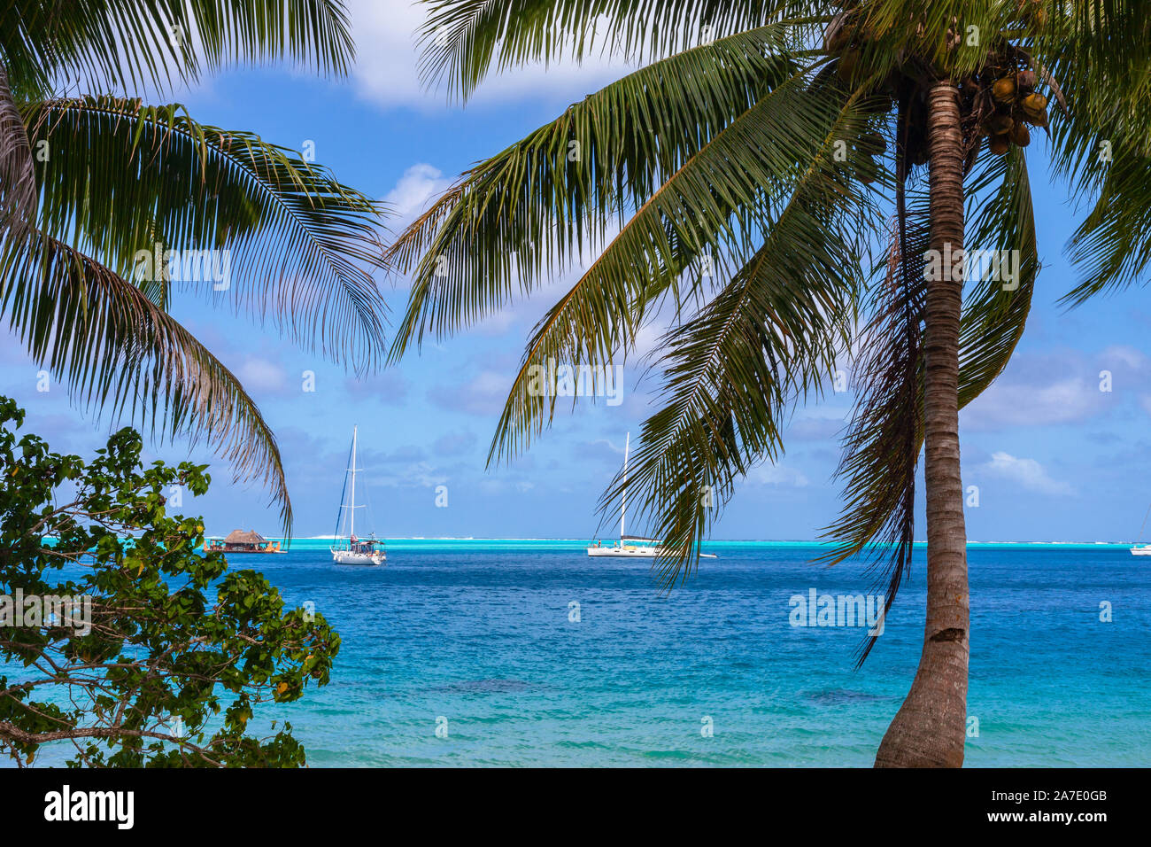 A view of the bay through palm trees,Huahine, French Polynesia Stock Photo