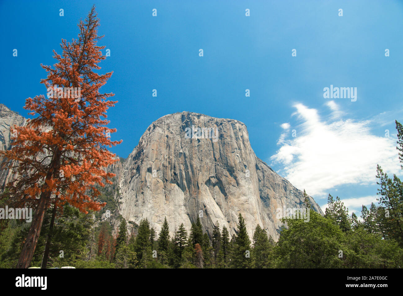 El Capitan granite rocks, known for breathtaking climbing routes,view