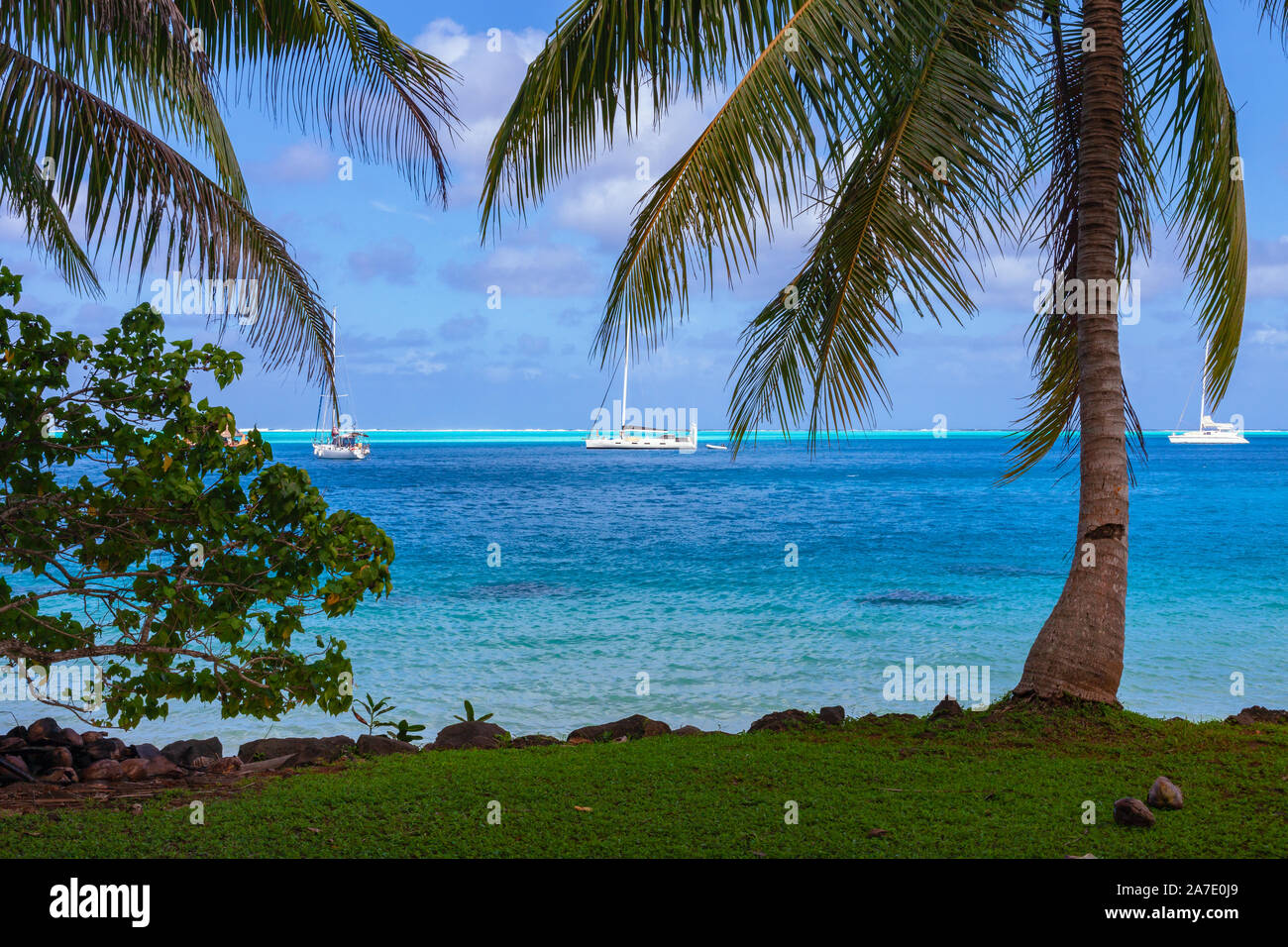 A view of the bay through palm trees,Huahine, French Polynesia in the South Pacific Stock Photo