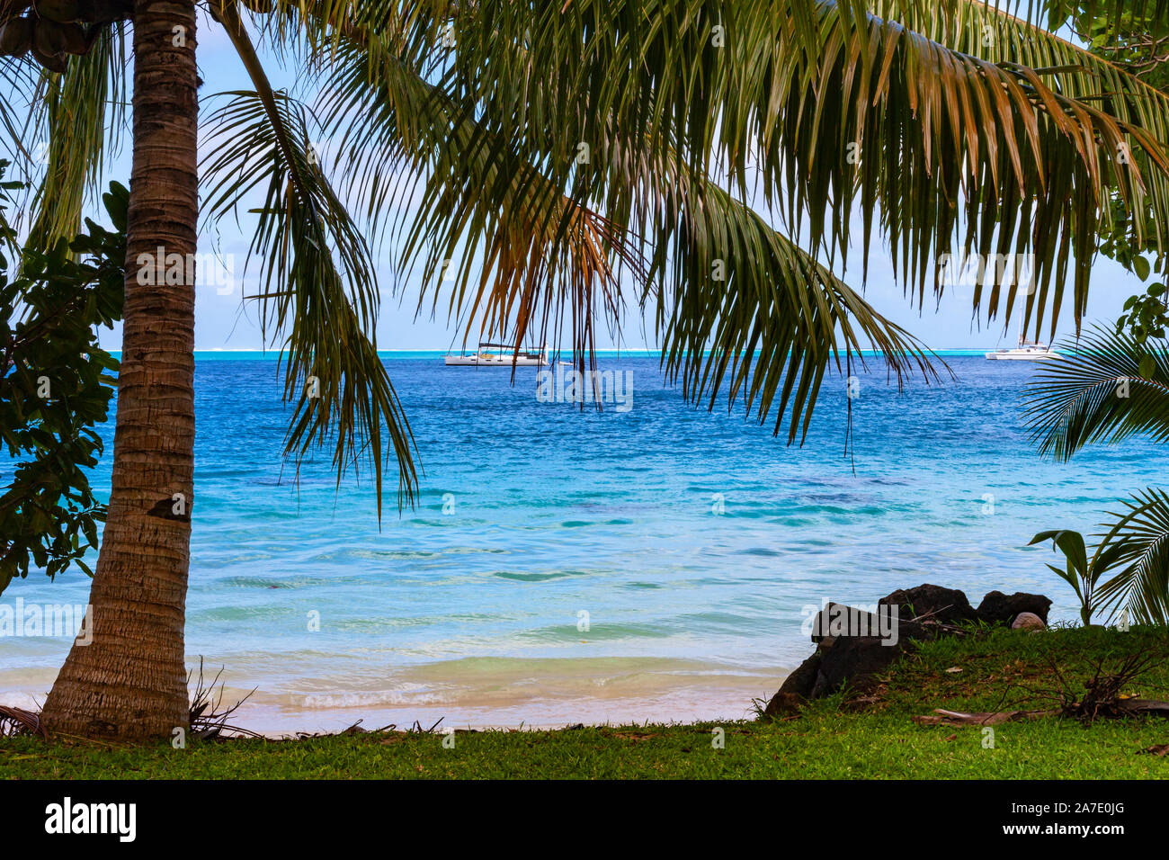 A view of the bay through palm trees,Huahine, French Polynesia Stock Photo
