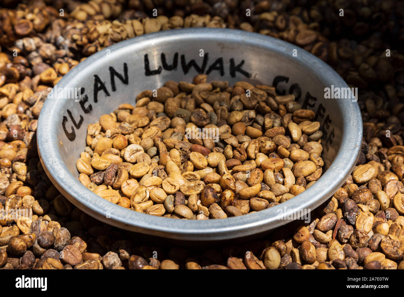 Kopi luwak, civet coffee, luwak coffee, made from partially digested