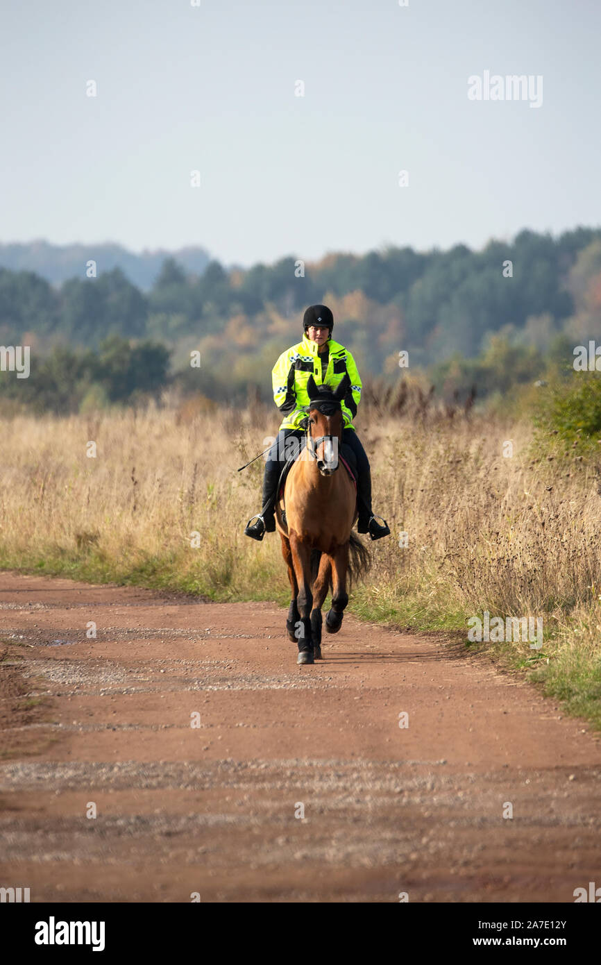 Lady in high visibility clothing riding a horse along a path in a country park Stock Photo