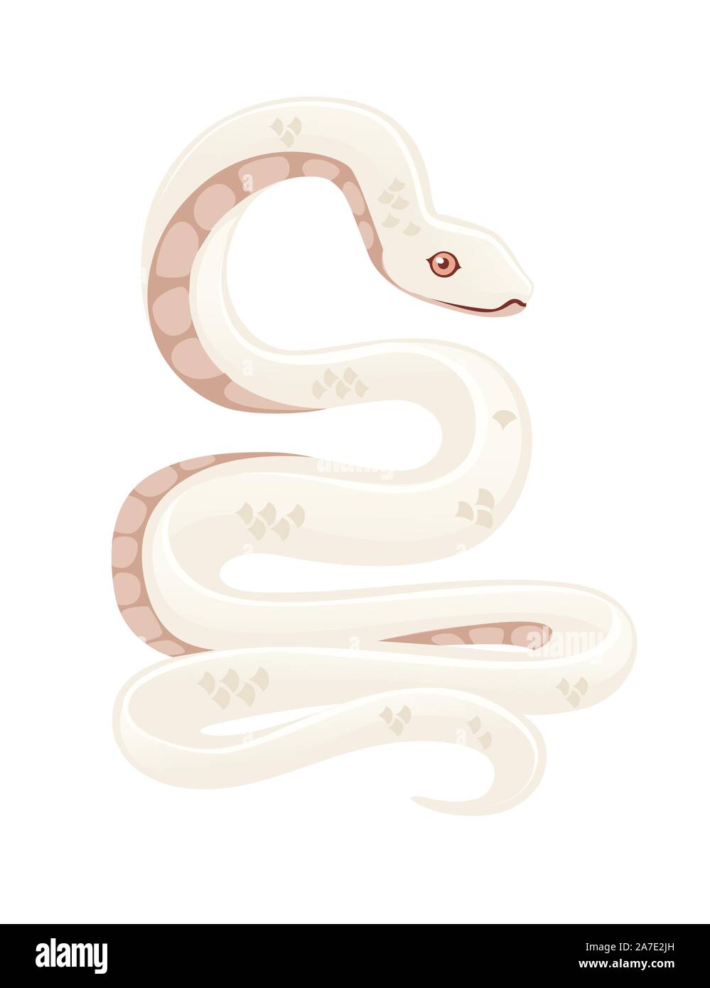 White albino snake cartoon animal design flat vector illustration
