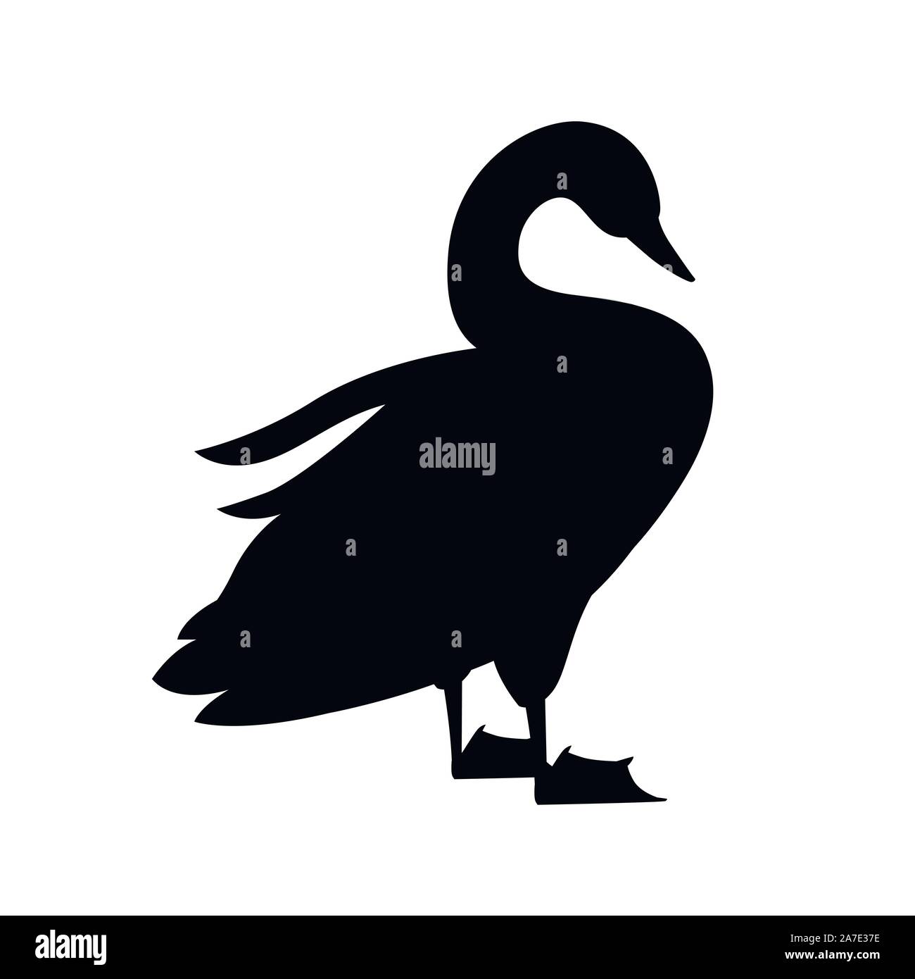 Black silhouette swan largest flying bird stand on ground cartoon
