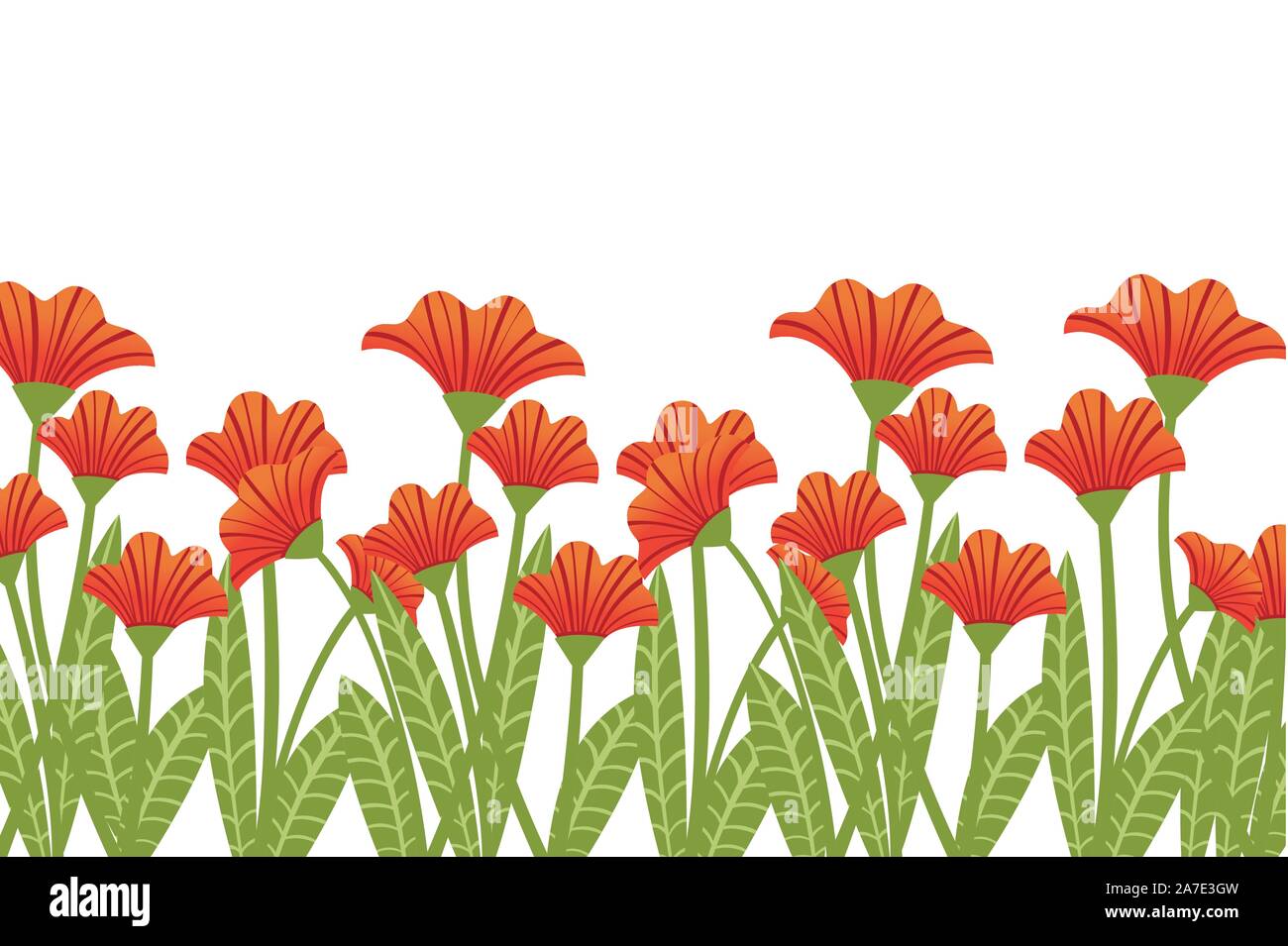 Red poppies in a row plant of red flowers flat vector illustration on white background. Stock Vector