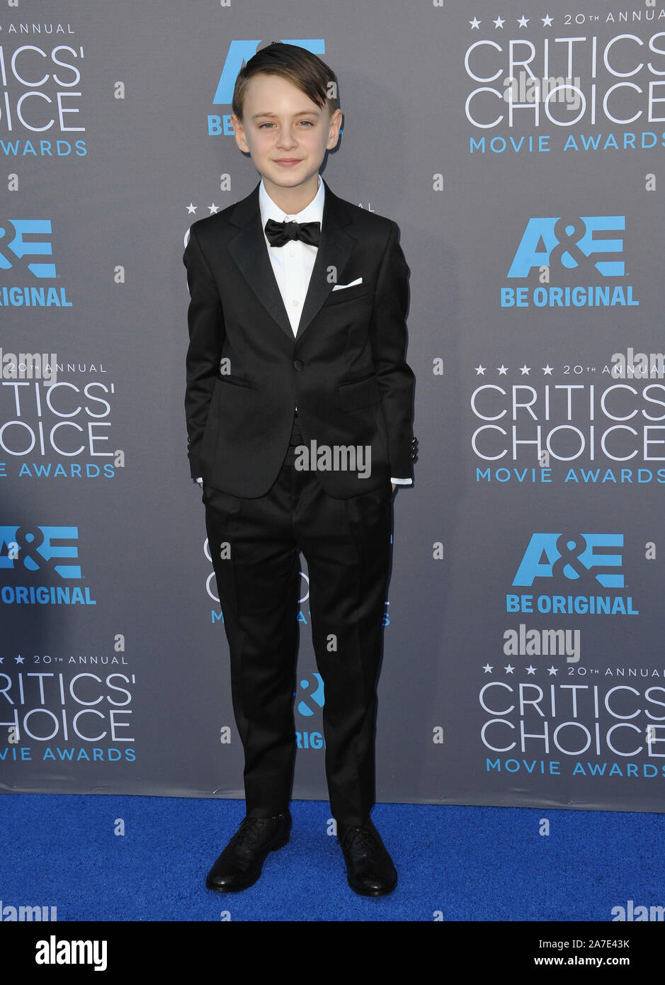 LOS ANGELES, CA - JANUARY 15, 2015: Jaeden Lieberher at the 20th Annual ...