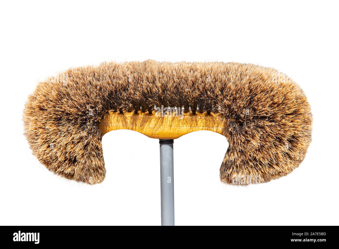 Broom isolated. Viennese wall and ceiling brooms made of split Ross hair or also named spider remover isolated on a white background. Home cleaning co Stock Photo