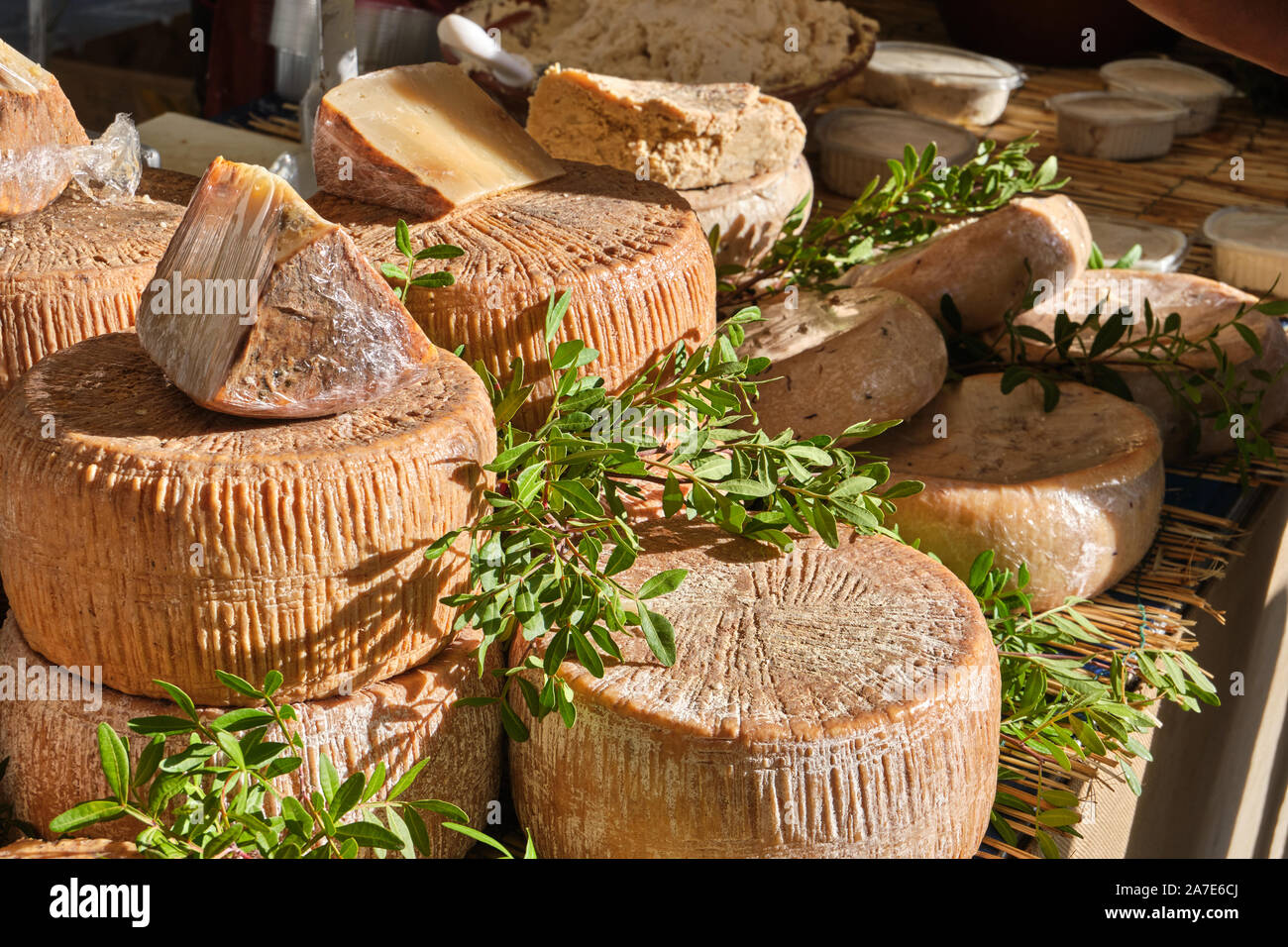 Casu Marzu, sardinian cheese with larvae of Piophila Casei Stock Photo