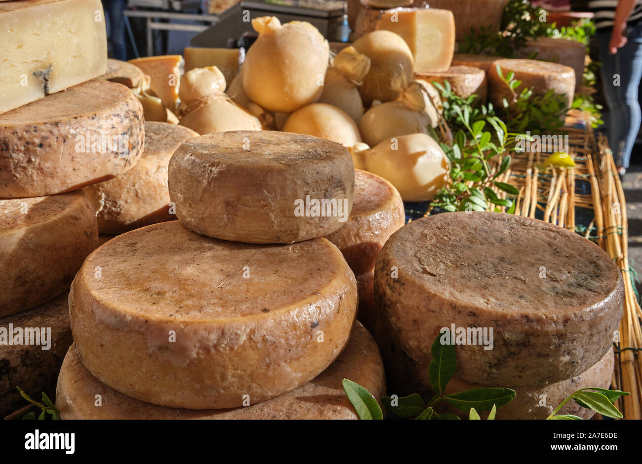 Casu Marzu, sardinian cheese with larvae of Piophila Casei Stock Photo