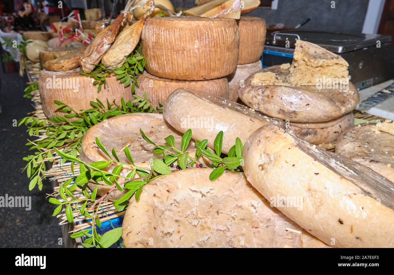 Casu Marzu, sardinian cheese with larvae of Piophila Casei Stock Photo