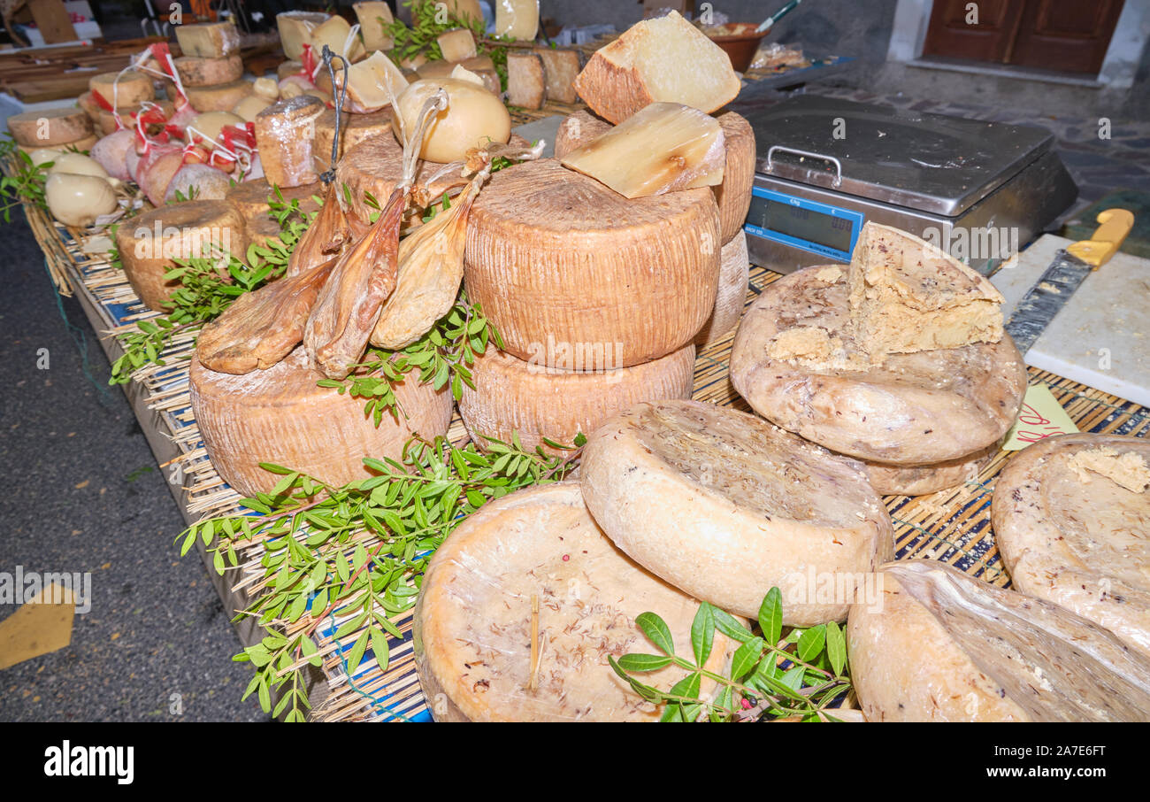 Casu Marzu, sardinian cheese with larvae of Piophila Casei Stock Photo