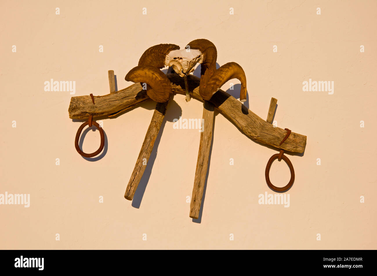 Ram horns and wooden plow on a white wall, summer, Spain Stock Photo