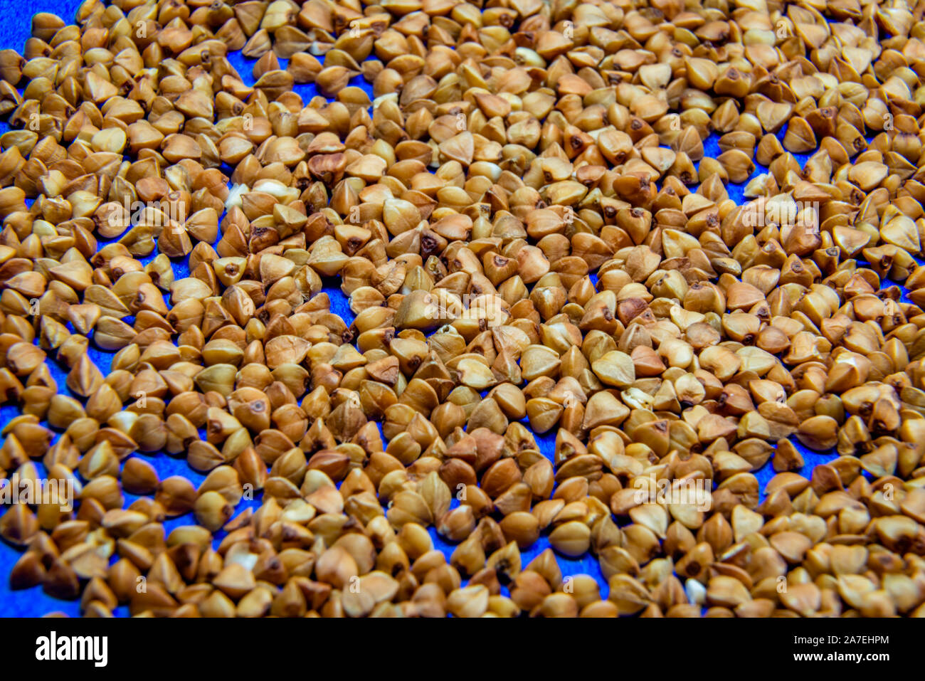 Buckwheat on the blue background Stock Photo