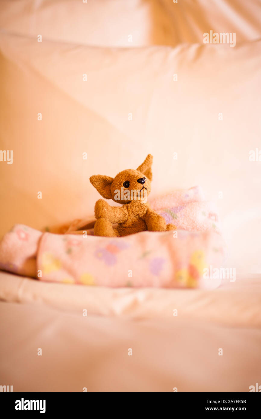 Awaiting friends at bedtime: a stuffed toy and blankie Stock Photo