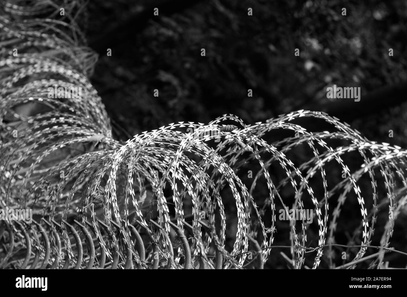 Monochrome of barbed wire security fence Stock Photo