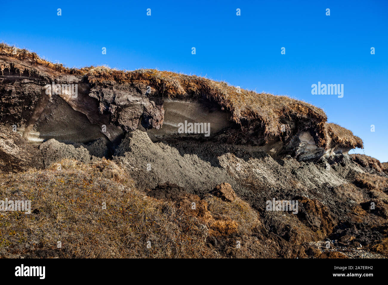 Exposed arctic permafrost at the edge of tundra cliffside as it erodes into Kotzebue Sound, in the Alaskan Arctic. Stock Photo