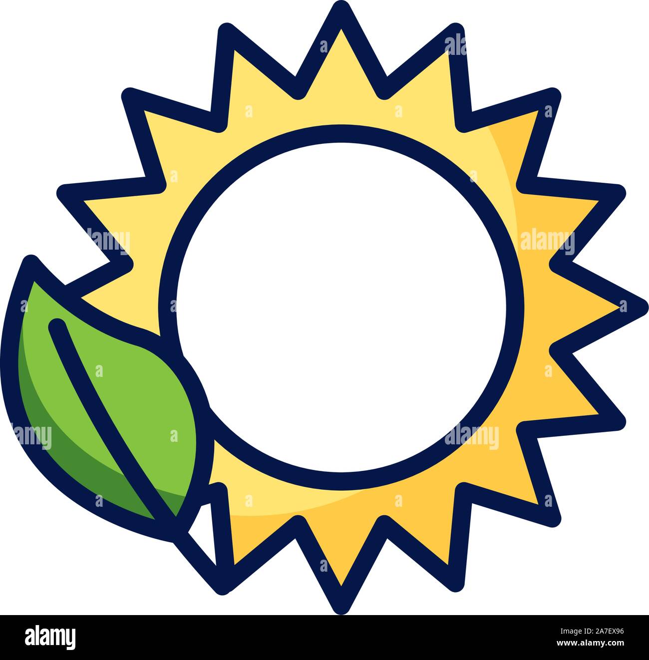 Isolated leaf and sun icon vector design Stock Vector Image & Art - Alamy
