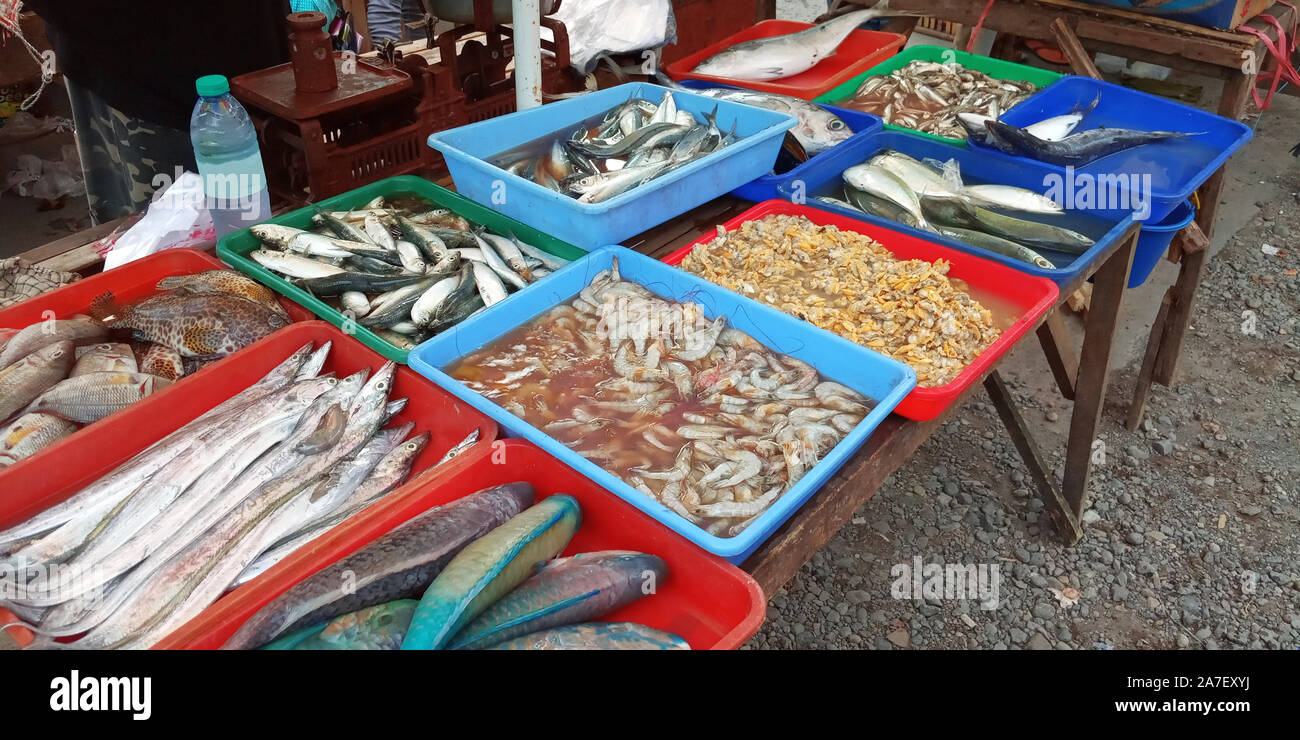 a variety of sea food in containers sold in traditional markets in Indonesia Stock Photo