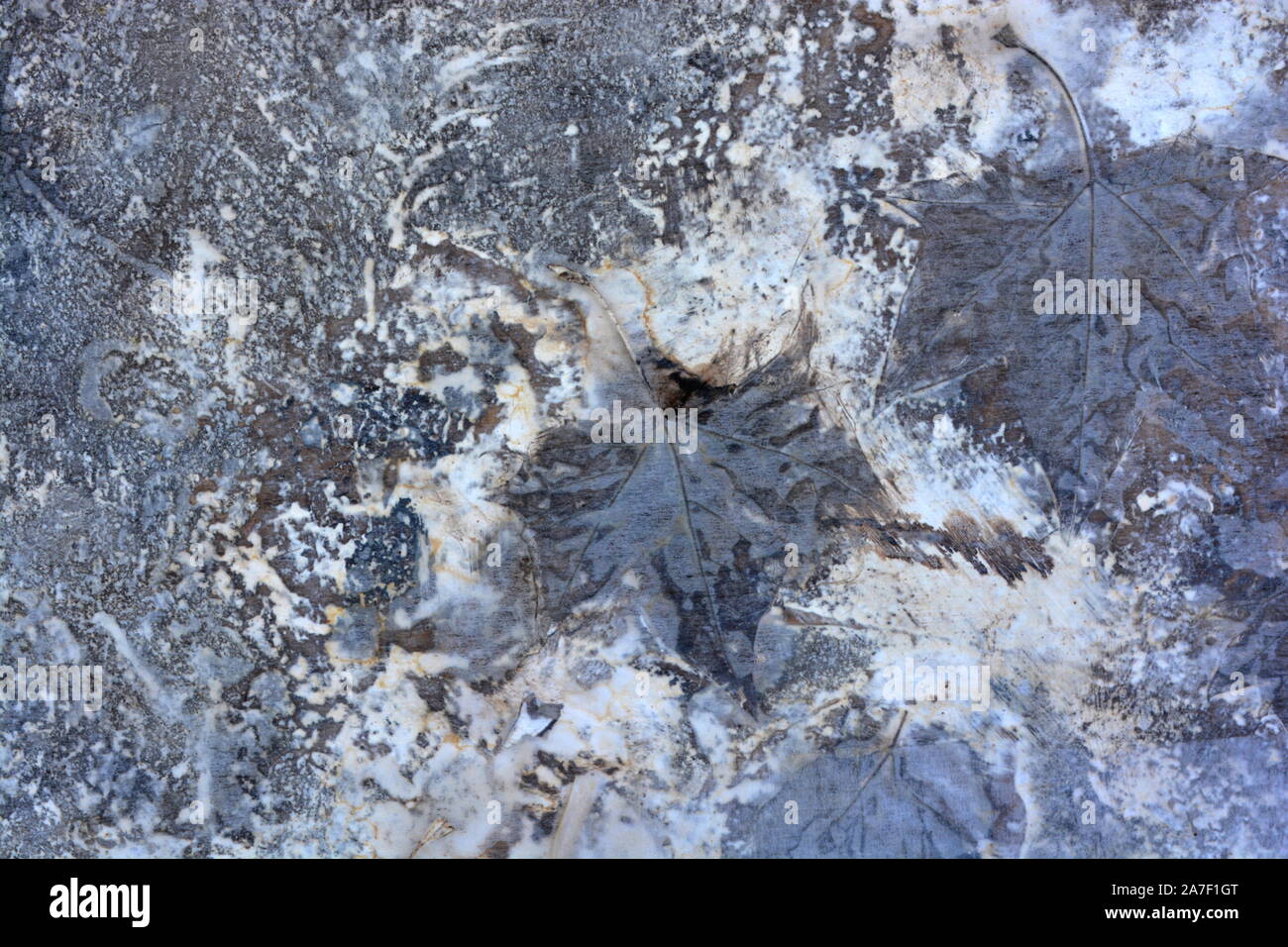 Natural granite rocks with veins of marble and minerals in intricate
