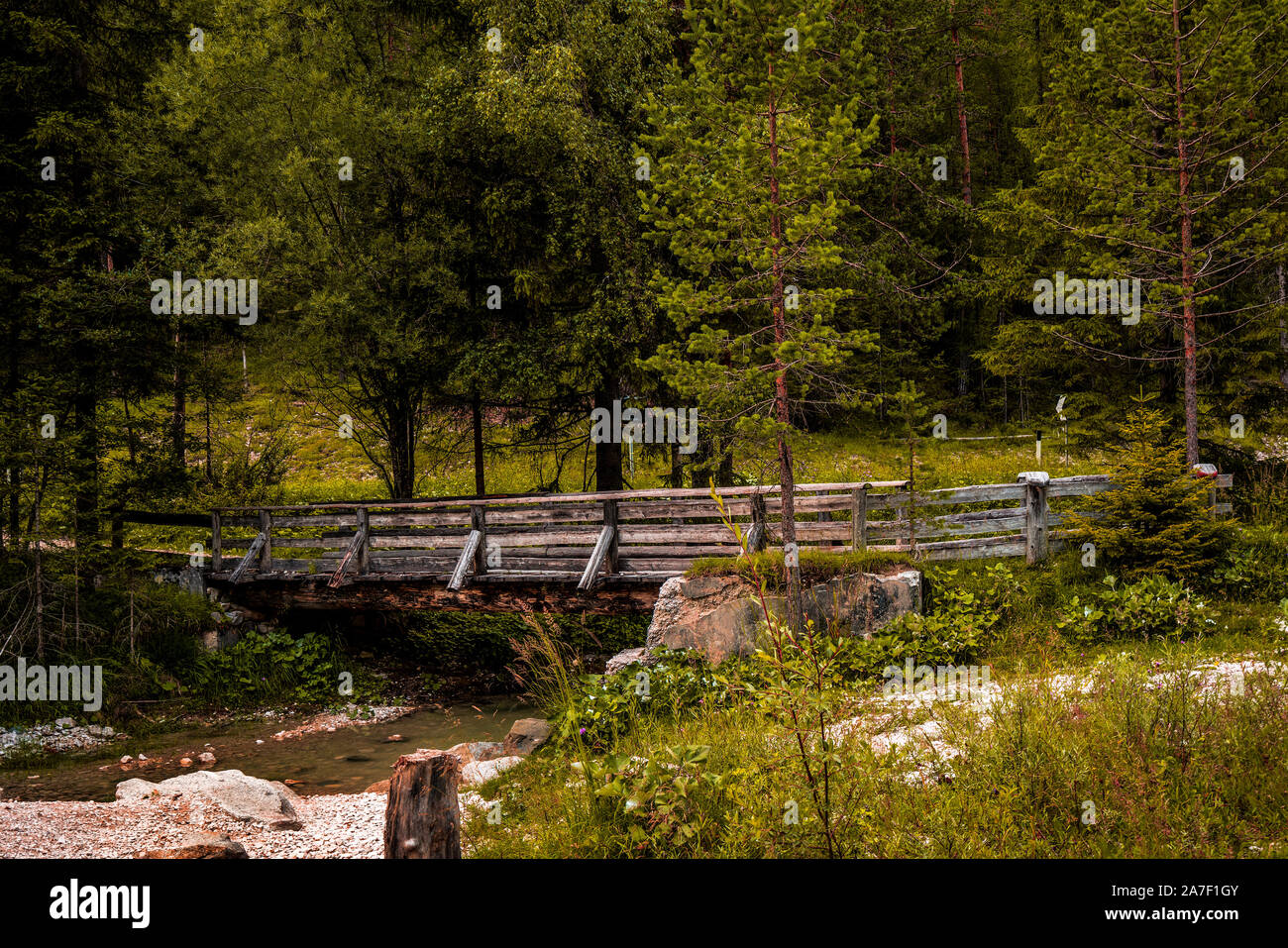Old wood bridge in the forest Stock Photo - Alamy