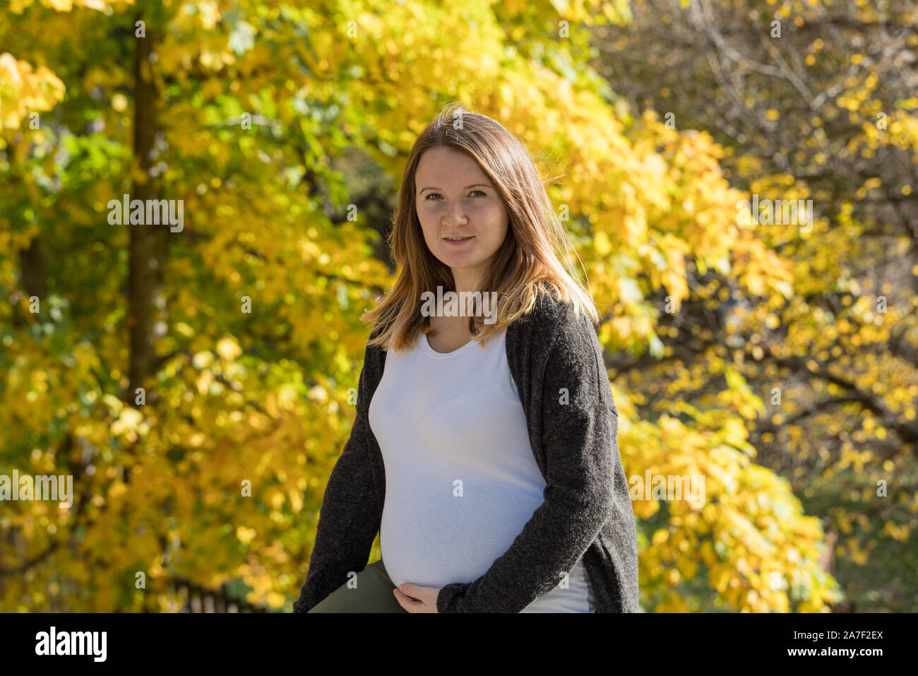 Pretty young pregnant woman in the autumn park Stock Photo - Alamy
