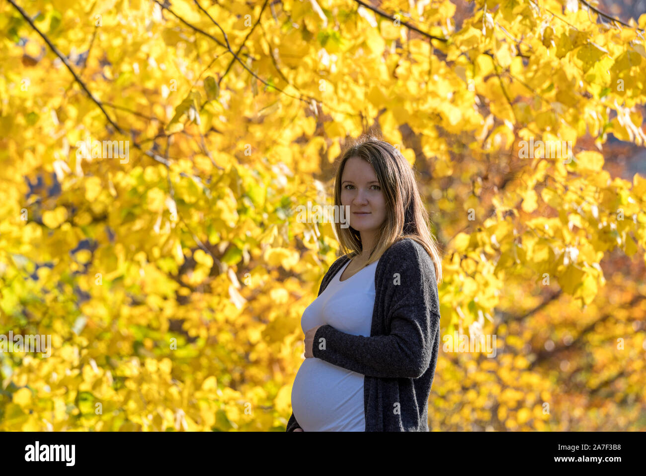 Pretty young pregnant woman in the autumn park Stock Photo - Alamy