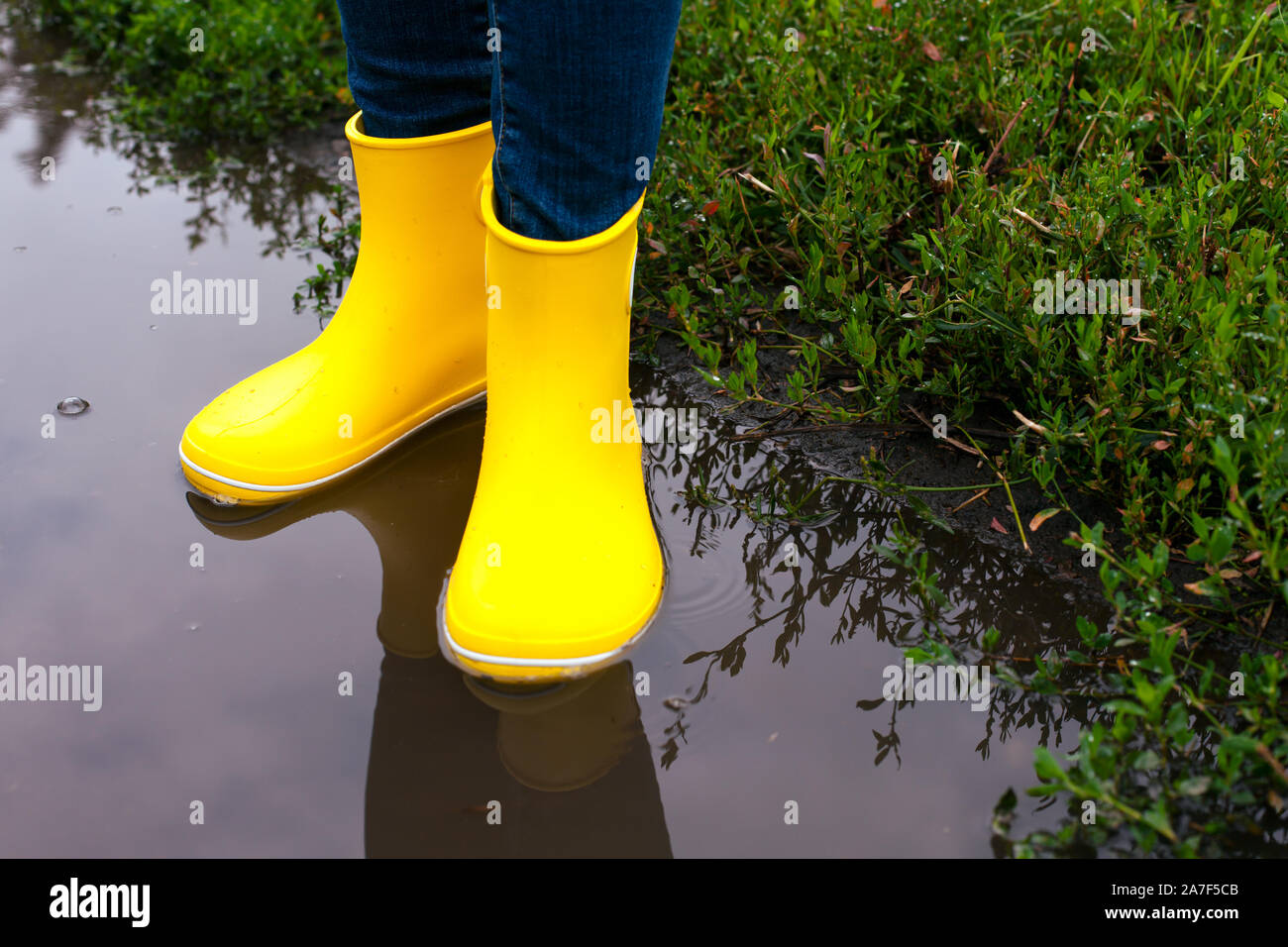 Woman in yellow rubber boots standing in the puddle outdoors Stock ...
