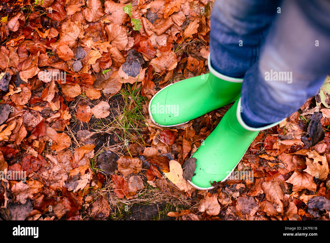 Child in green rubber boots standing on fallen leaves outdoors. Stock Photo