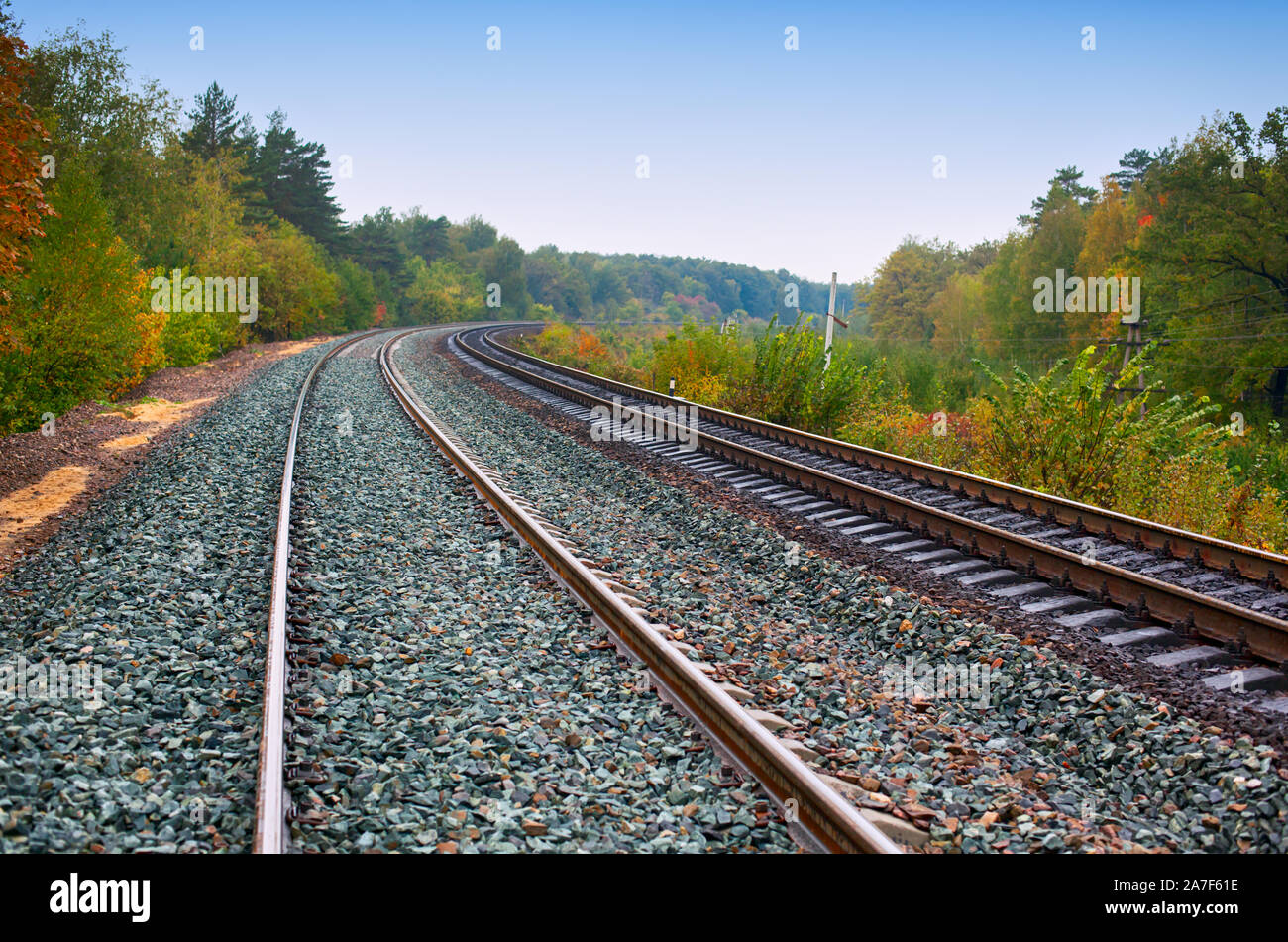 Train tracks view with forest. Full frame Stock Photo Alamy