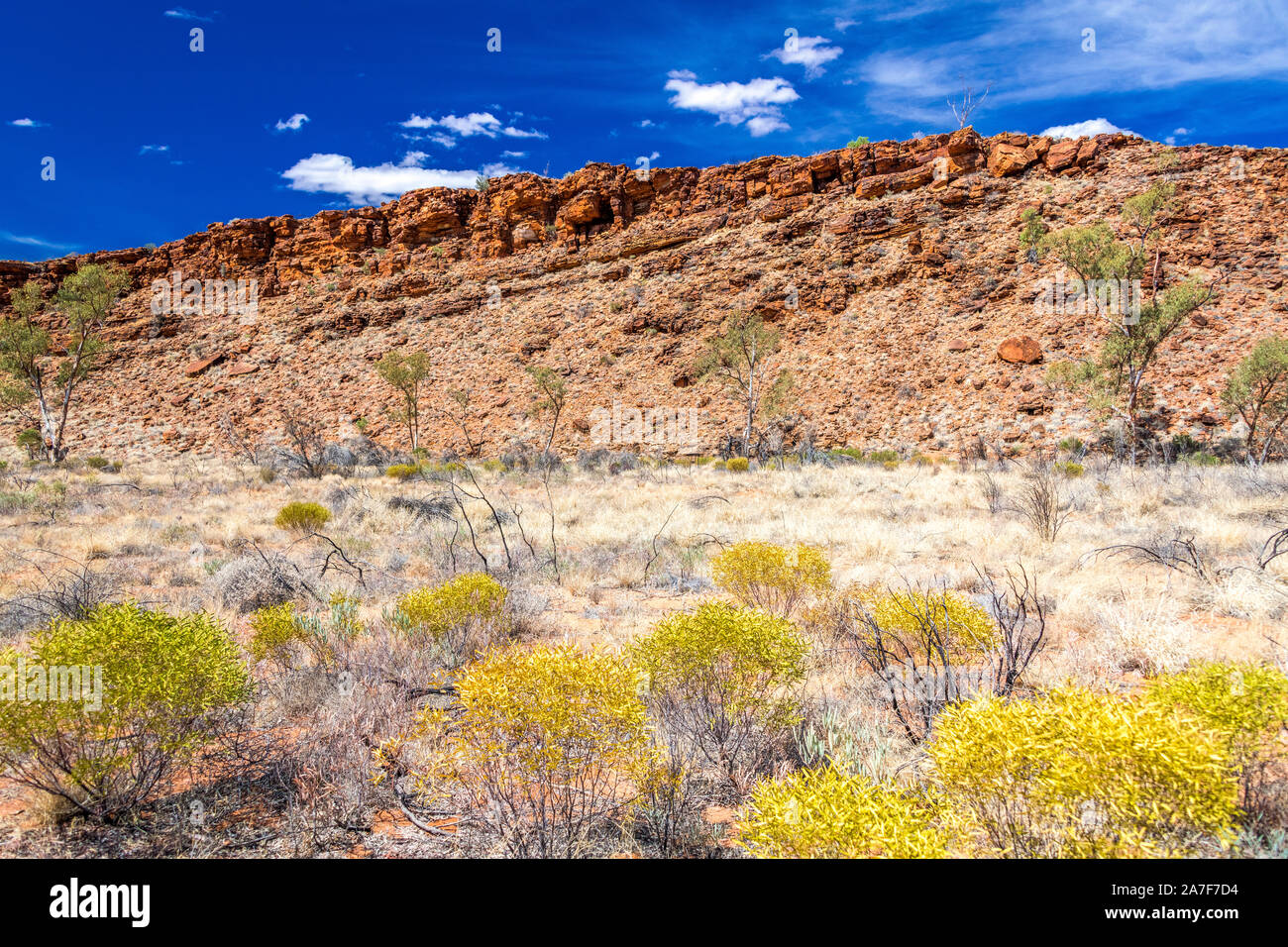 Kathleen Springs is within Kathleen Gorge, and is an important permanent watersource in this remote location in the Northern Territory, Australia Stock Photo