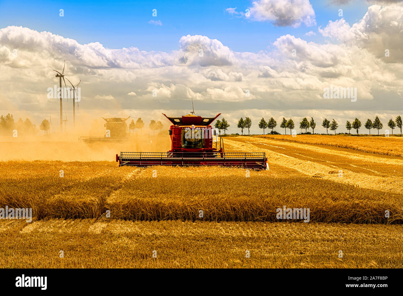 Large combine harvester mowing a cereal field Stock Photo