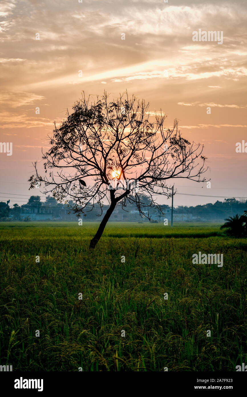 Beautiful nature wonder hi-res stock photography and images - Alamy