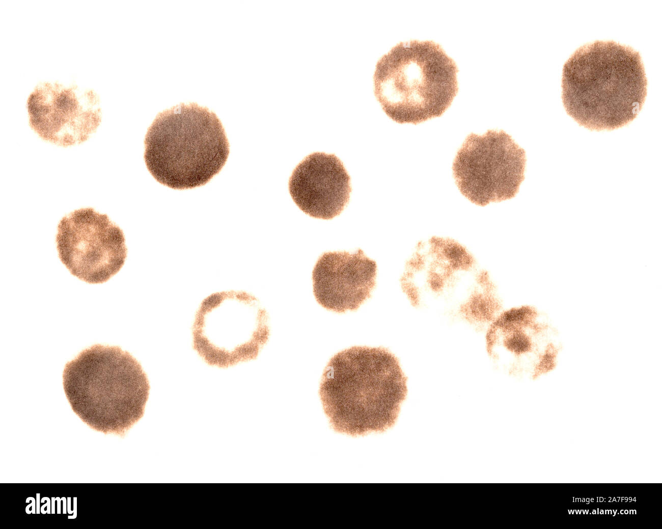 Burn Marks On A Paper Stock Photo Alamy burn-marks-on-a-paper-stock-photo-alamy