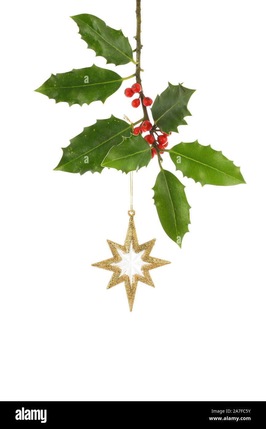 Gold glitter star hanging from a holly branch isolated against white ...
