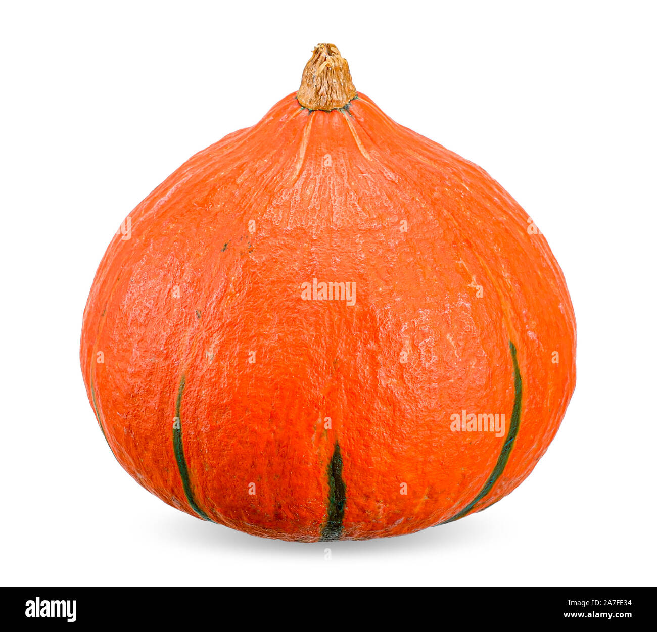 Pumpkin isolated on white background with clipping path Stock Photo - Alamy
