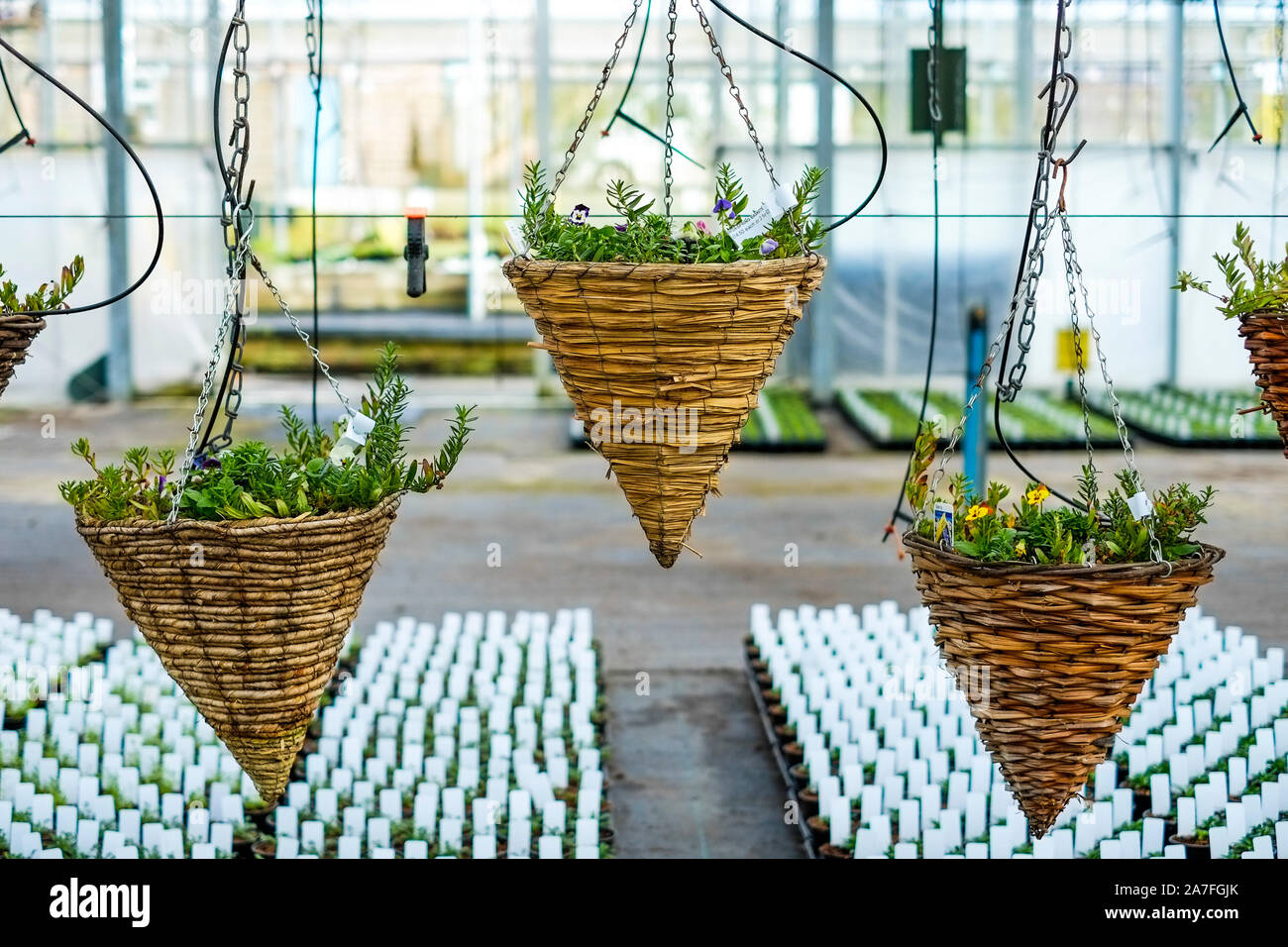 Hanging baskets garden hires stock photography and images Alamy