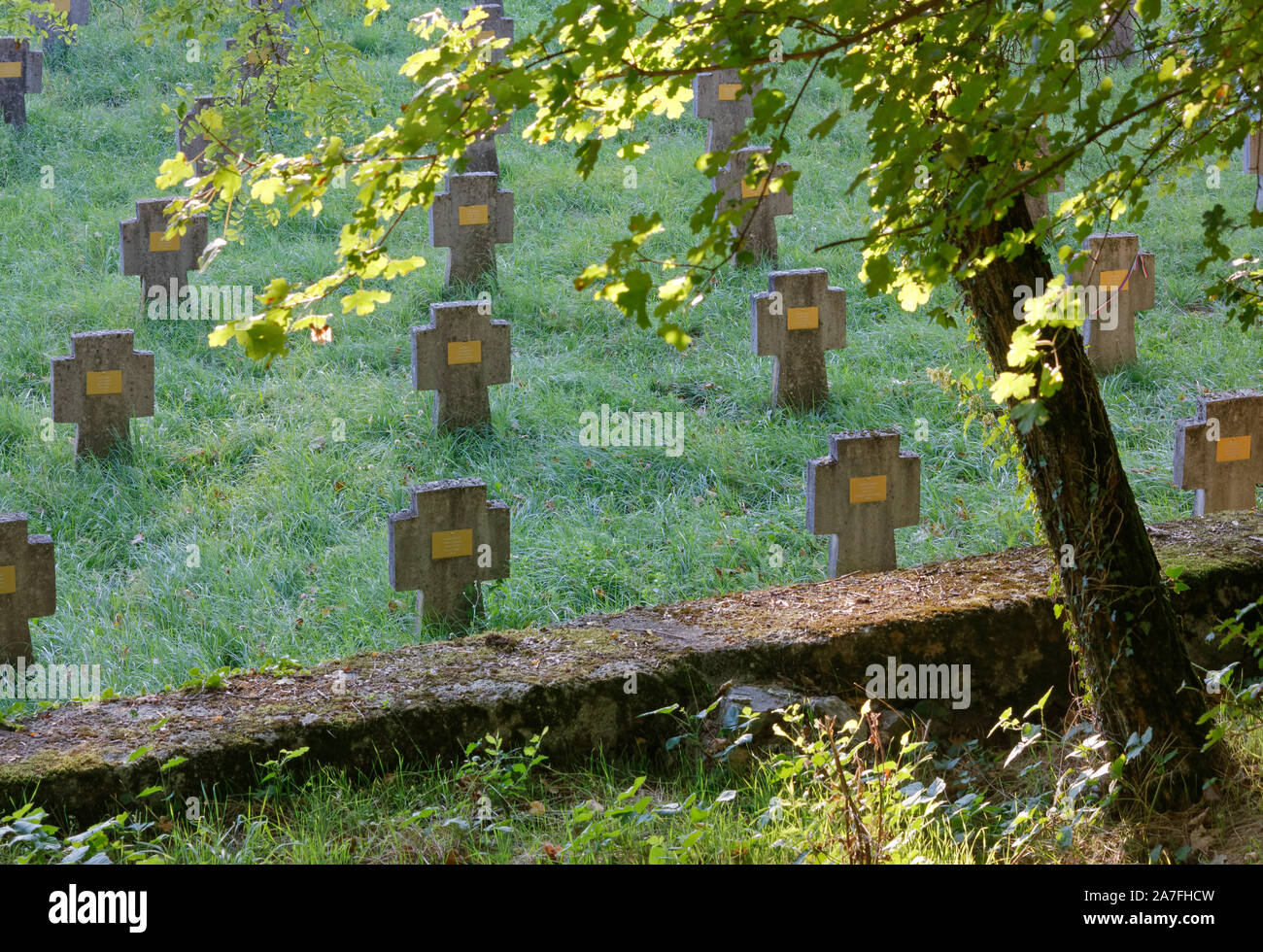 Rows of cross-shaped headstones at the Austro-Hungarian military cemetery of Prosecco-Prosek, on the Karst plateau next to Trieste Stock Photo