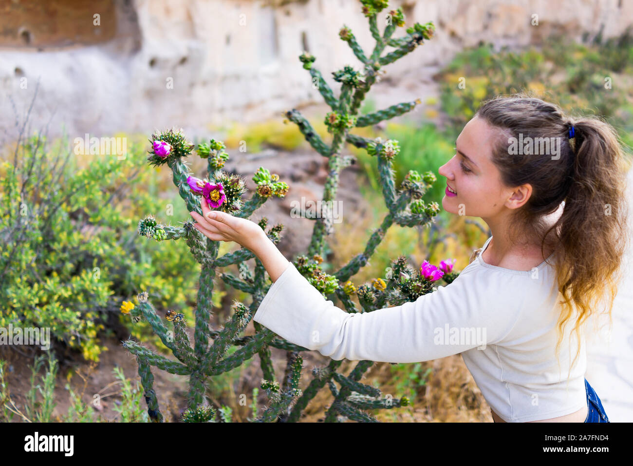 Young girl happy woman touching Cane Cholla cactus vivid pink flower on Main Loop trail in Bandelier National Monument in New Mexico in Los Alamos Stock Photo