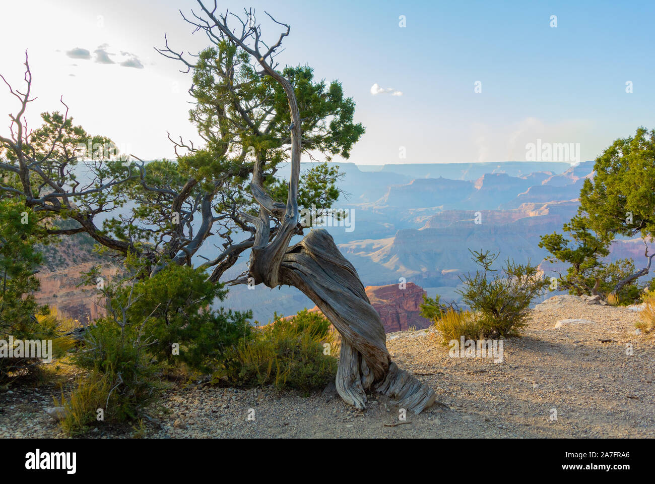 panoramic view seen from bright angel trailhead in south rim during