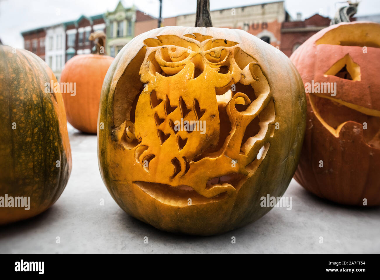 An owl is carved in the Halloween pumpkin. Stock Photo