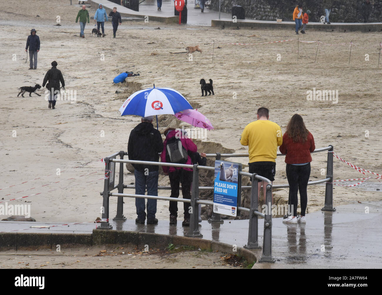Lyme Regis, Dorset, UK.  2nd November 2019. UK Weather: Visitors look at on as a  large area of Lyme Regis' pretty sandy beach is cordoned off after the sand was washed away during heavy overnight rainfall  Credit: DWR/Alamy Live News. Stock Photo