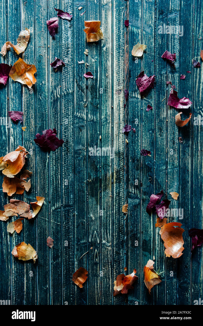 Onion peel vaguely arraged on a rusty background,copyspace Stock Photo