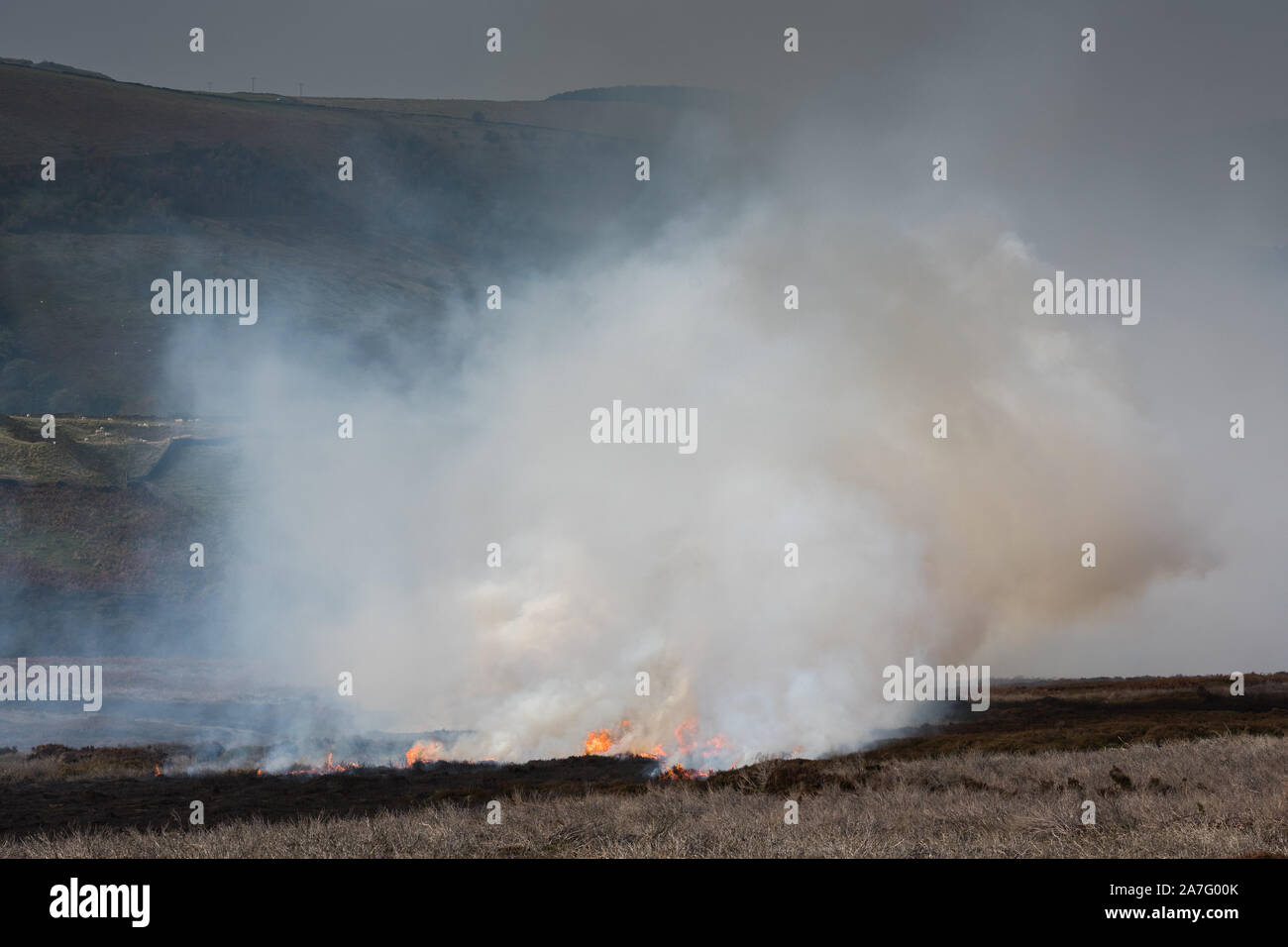 Grouse moor mangement by heather burning, Peak District National Park, Emgland Stock Photo