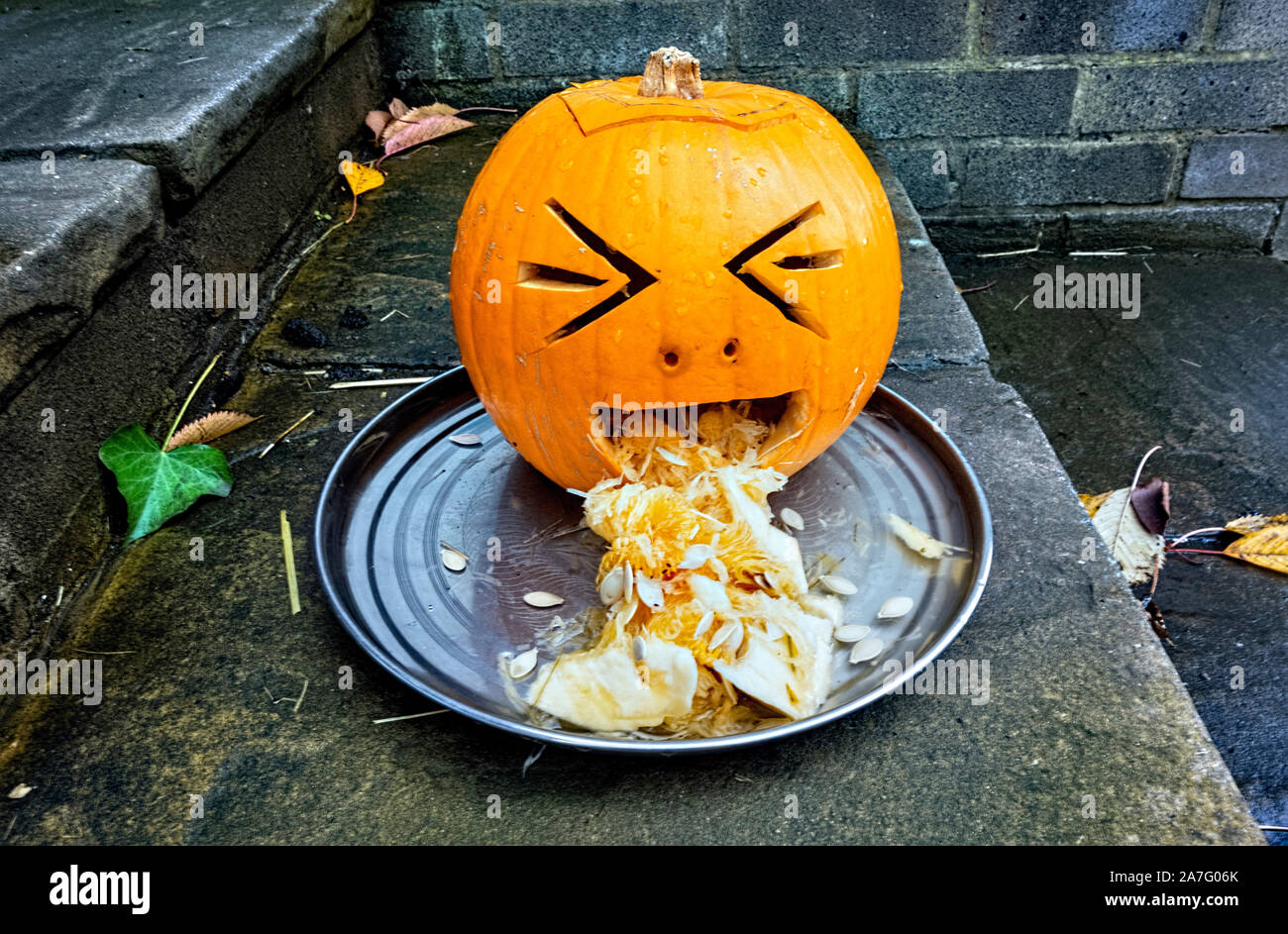 Vomiting High Resolution Stock Photography and Images - Alamy